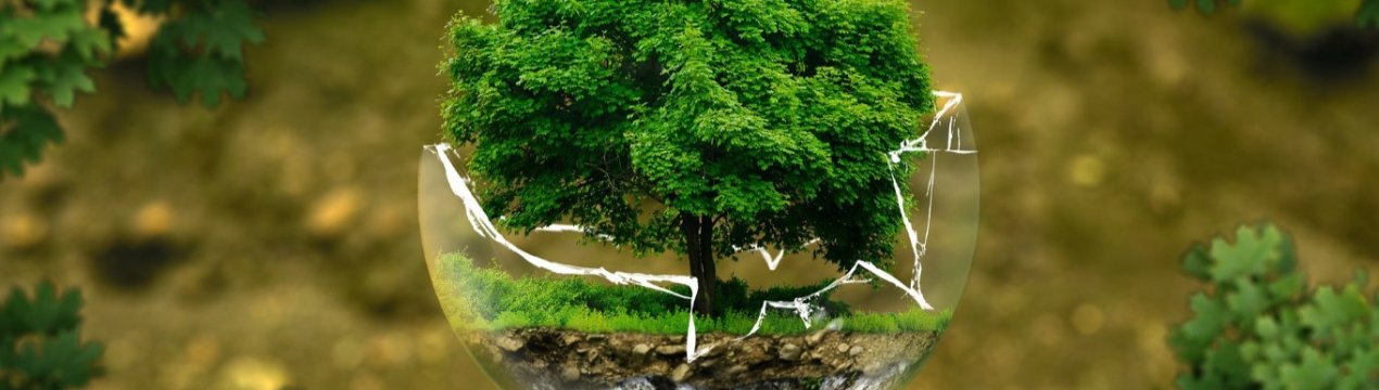 Агроклассы відкрилися в Свердловській області