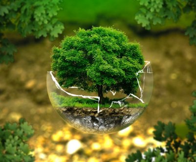 Агроклассы відкрилися в Свердловській області