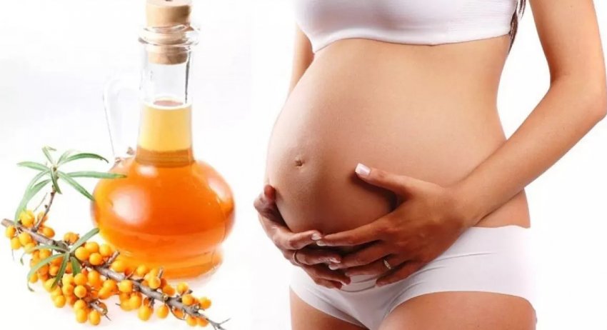 Можно ли употреблять облепиху при беременности на ранних сроках, во втором  и третьем триместре, чай и морс