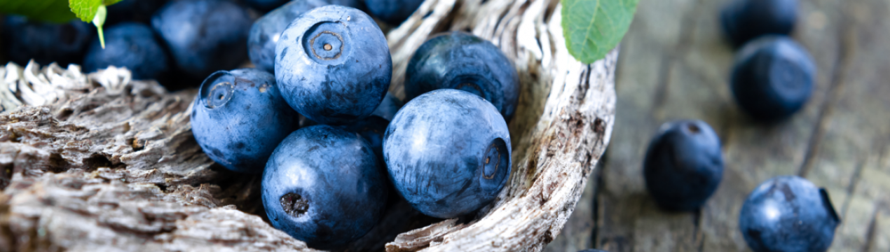 Проносні і закріплюють властивості чорниці