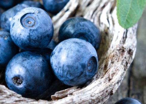 Проносні і закріплюють властивості чорниці