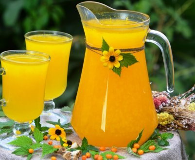 Користь і шкода обліпихової морсу