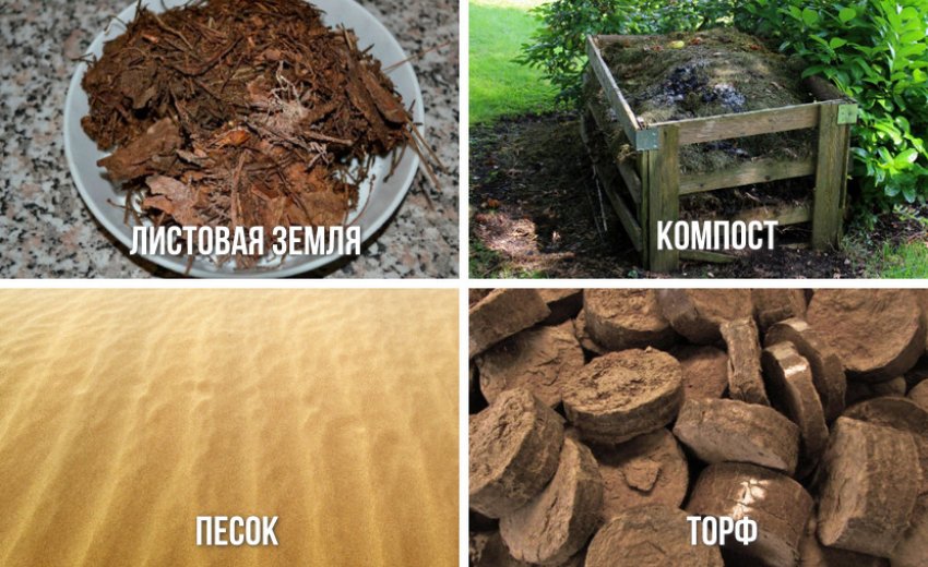 Грунт для посадки Грунт для посадки