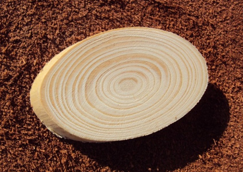 Деревина ялини Деревина ялини