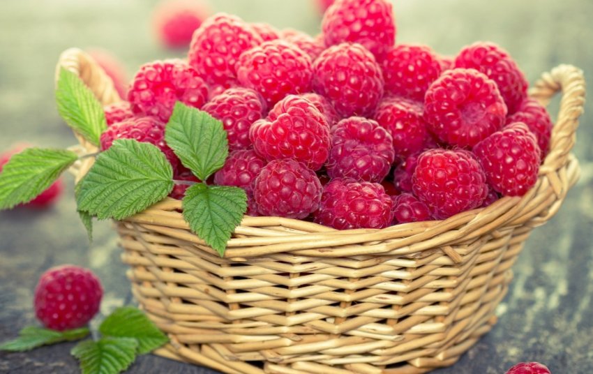 Гігантську малину представив американський виробник