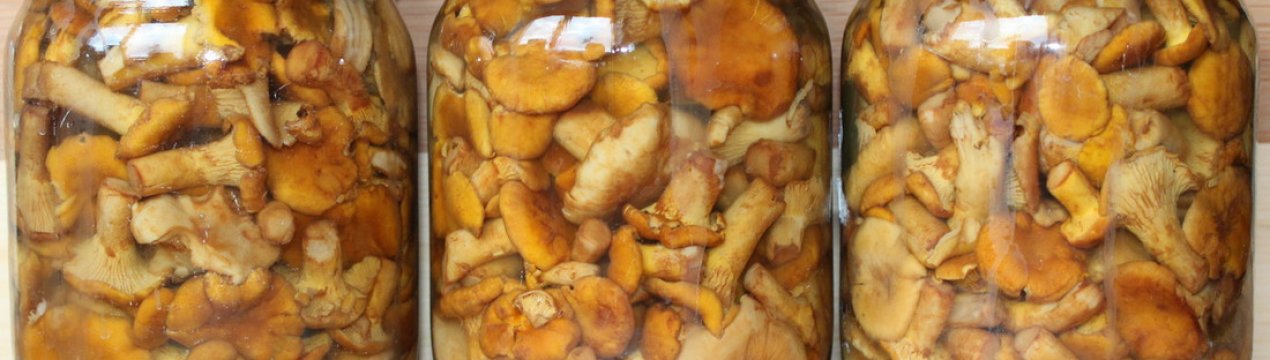 Як заготовити на зиму лисички