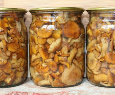 Як заготовити на зиму лисички