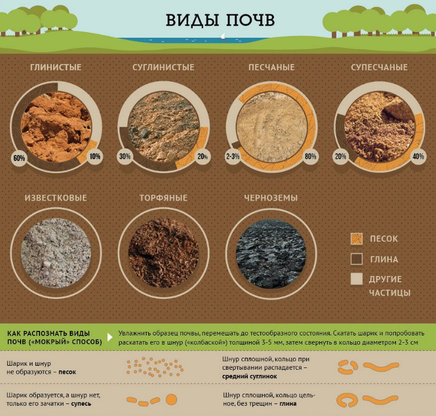 Види ґрунтів Види ґрунтів