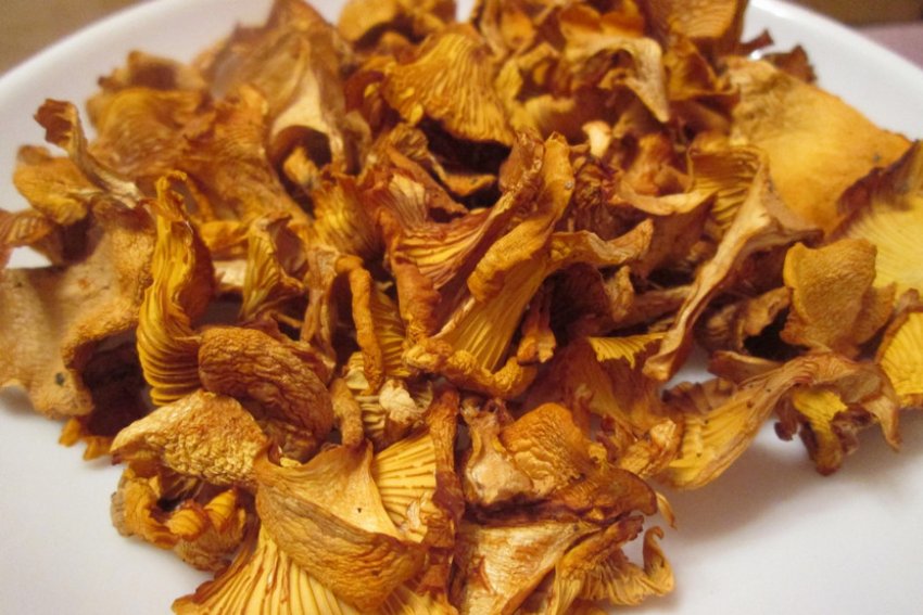 Сушені лисички Сушені лисички