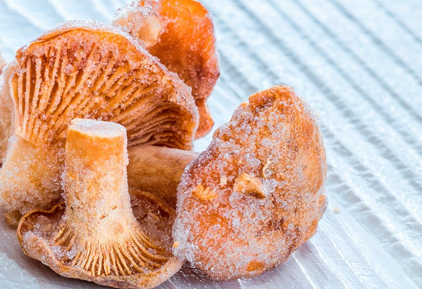 Заморожування Заморожування