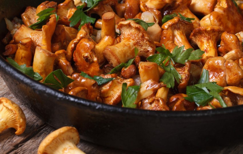 Жарка Жарка