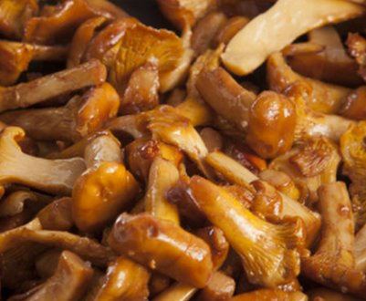 Що приготувати із заморожених лисичок