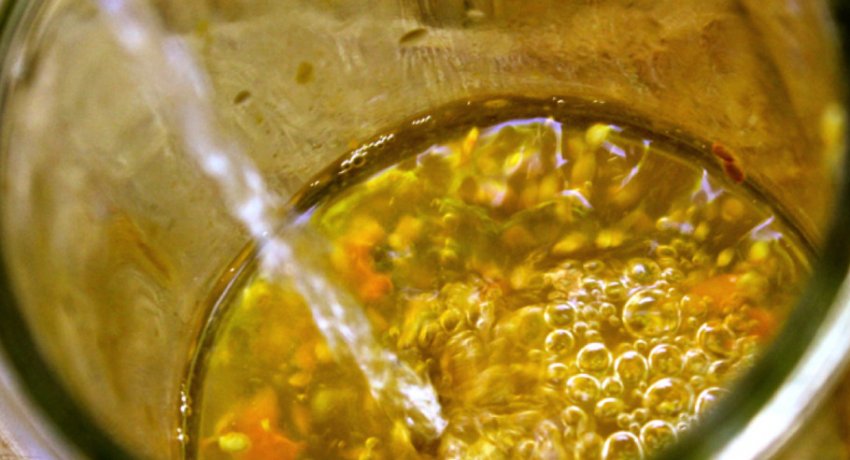 Підготовка насіння до посіву томатів