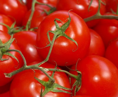 Нідерланди представили перший сорт томатів без кісточок