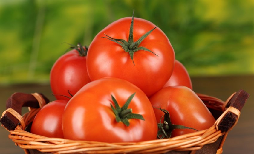 Нідерланди представили перший сорт томатів без кісточок Нідерланди представили перший сорт томатів без кісточок