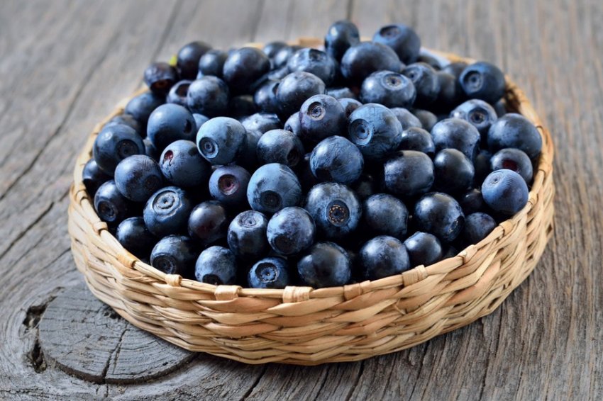 Ягоди чорниці Ягоди чорниці