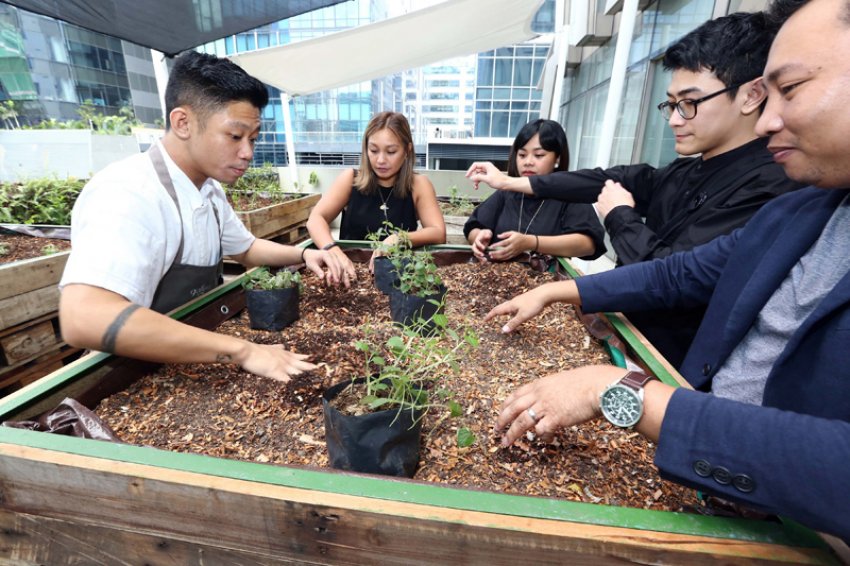 Шеф-кухар влаштував вертикальну ферму в центрі міста на Філіппінах