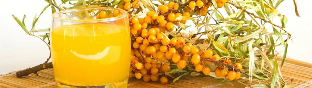 Чим корисний сік обліпихи і як його приготувати