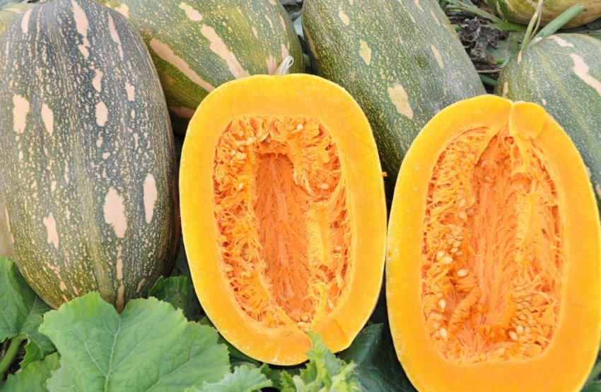 Вітамінна Вітамінна