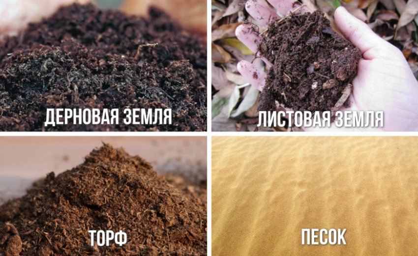 Компоненти для підготовки субстрату