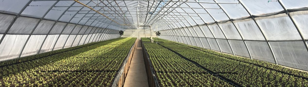 У Дослідному парку Іллінойсу відкрилася сучасна теплиця