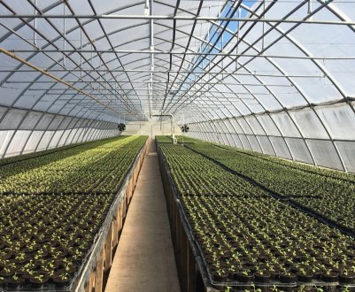 У Дослідному парку Іллінойсу відкрилася сучасна теплиця