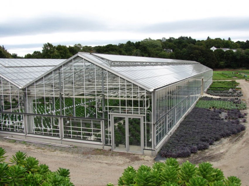 В Дослідному парку Іллінойсу відкрилася сучасна теплиця В Дослідному парку Іллінойсу відкрилася сучасна теплиця