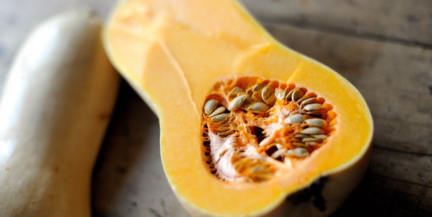 Перлина Перлина