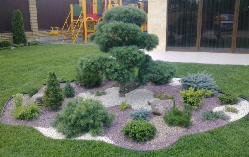 Альпійська гірка з хвойними рослинами