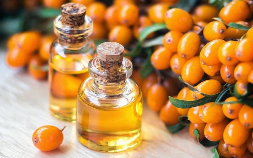 Обліпихова олія