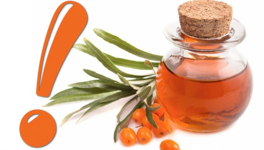 Протипоказання до застосування обліпихової олії