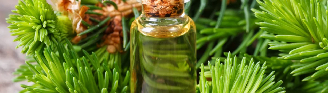 Користь ефірного масла ялиці для волосся