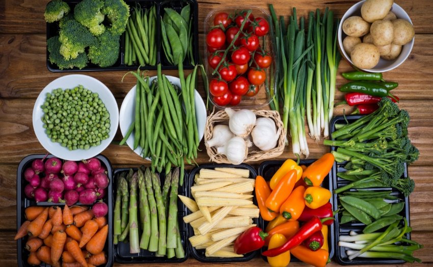 На Зауралля можуть закритися сортоиспытательные ділянки