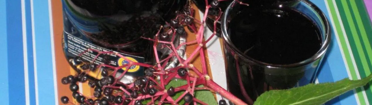 Приготування і застосування сиропу з бузини