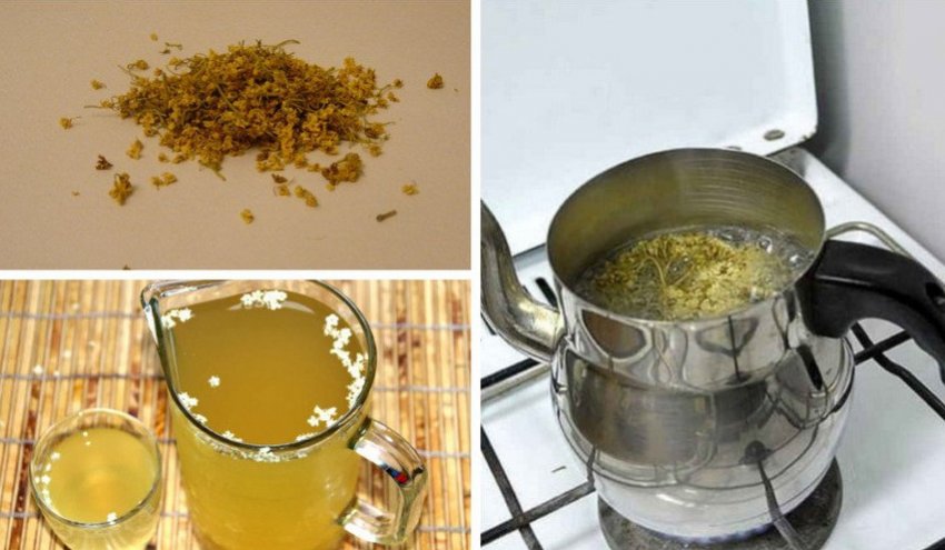 Чай з квітів бузини