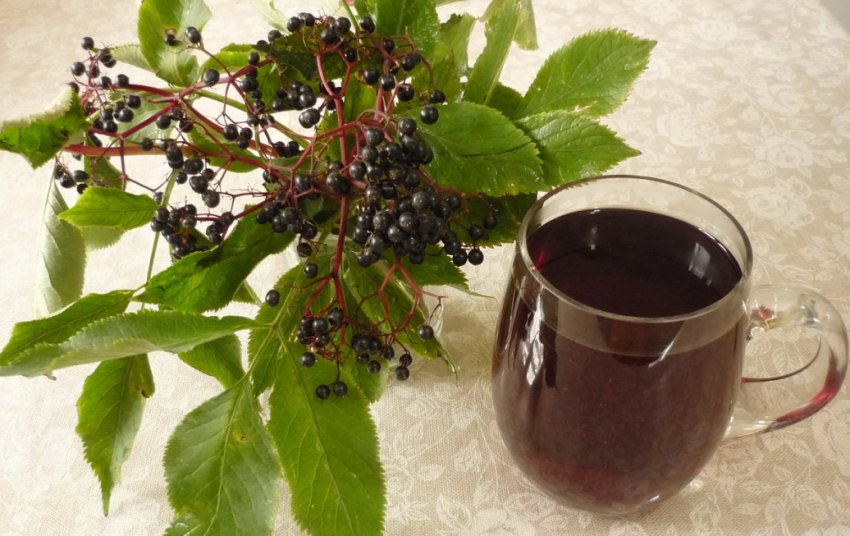 Чай з ягід бузини