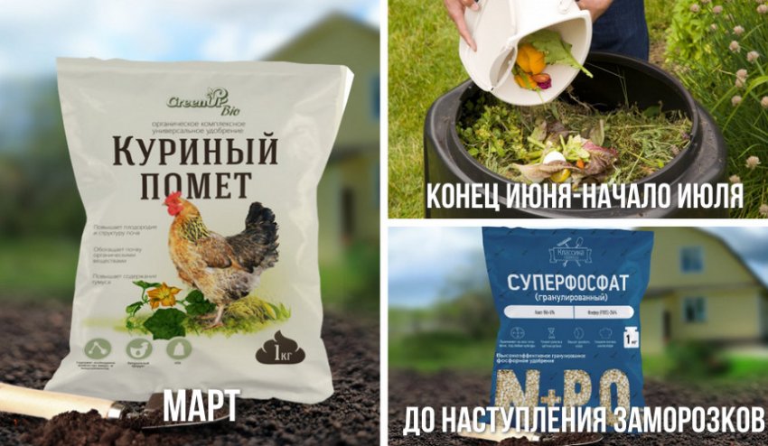 Внесення добрив по місяцях