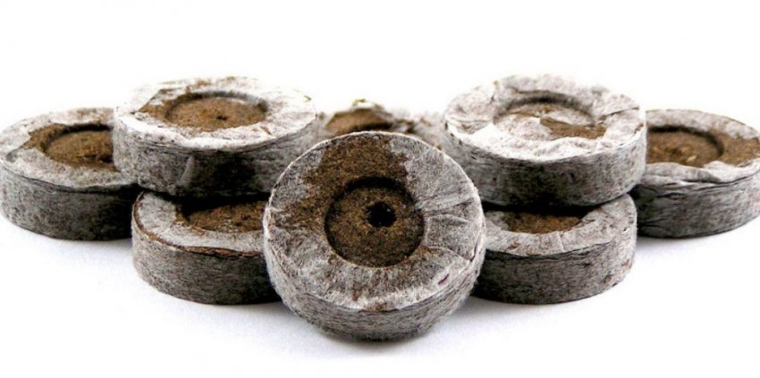 Торф'яні таблетки