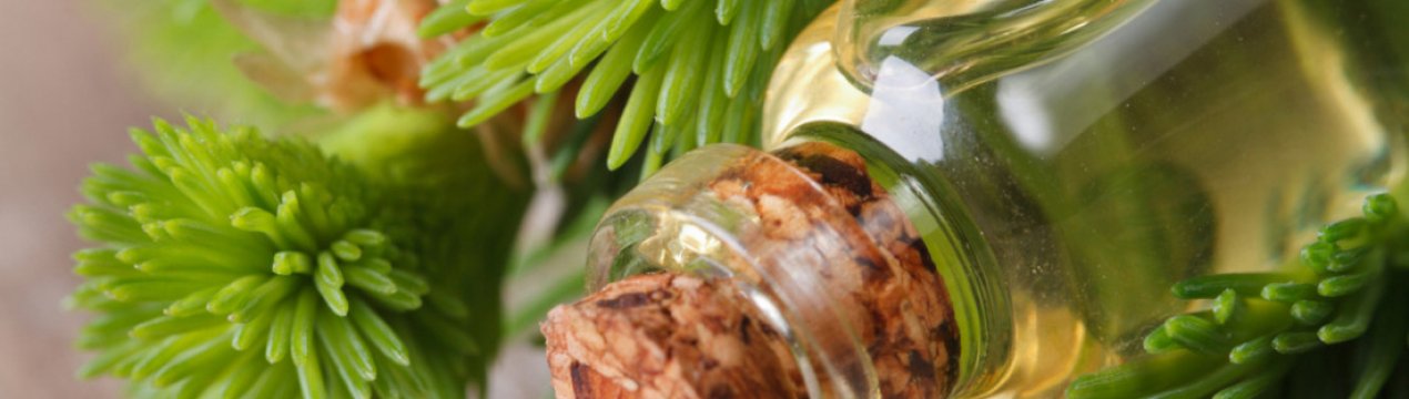 Лікувальні властивості інгаляції з ялицевою олією