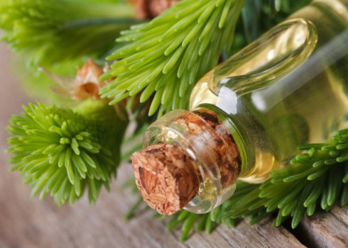 Лікувальні властивості інгаляції з ялицевою олією