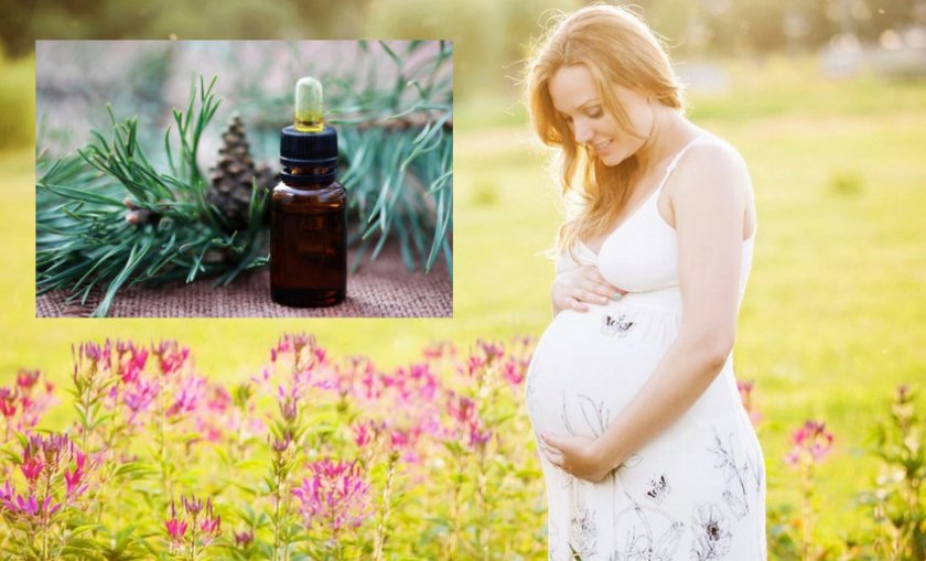 Пихтовое масло при беременности