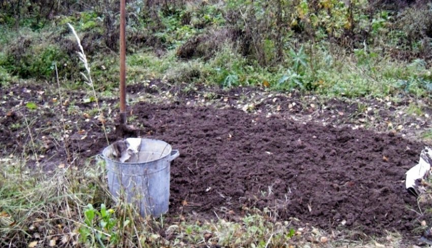 Перекопанная грядка