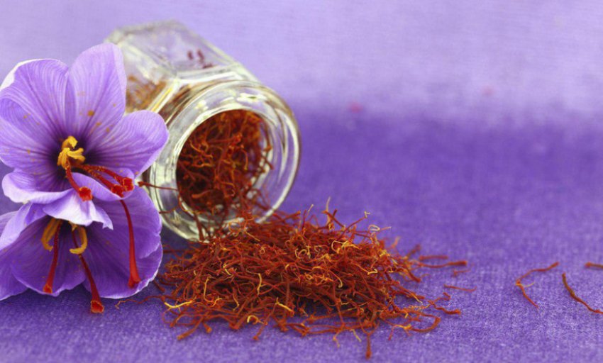 Висушений крокус