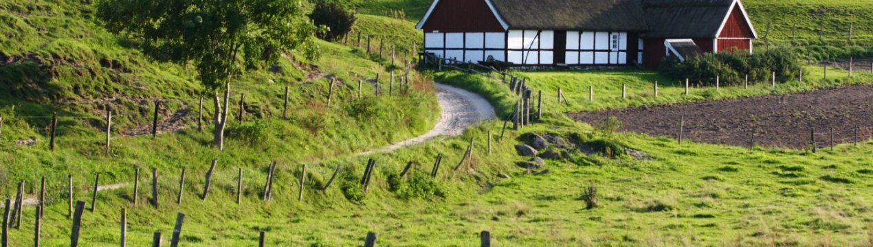 Кліматичні зміни завдають шкоди сільському господарству Європи