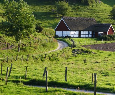 Кліматичні зміни завдають шкоди сільському господарству Європи