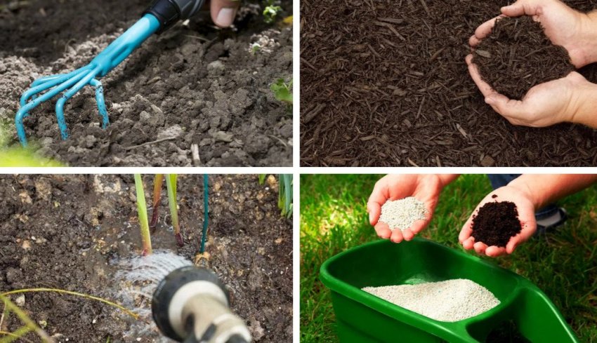 Уход за цветком Уход за цветком