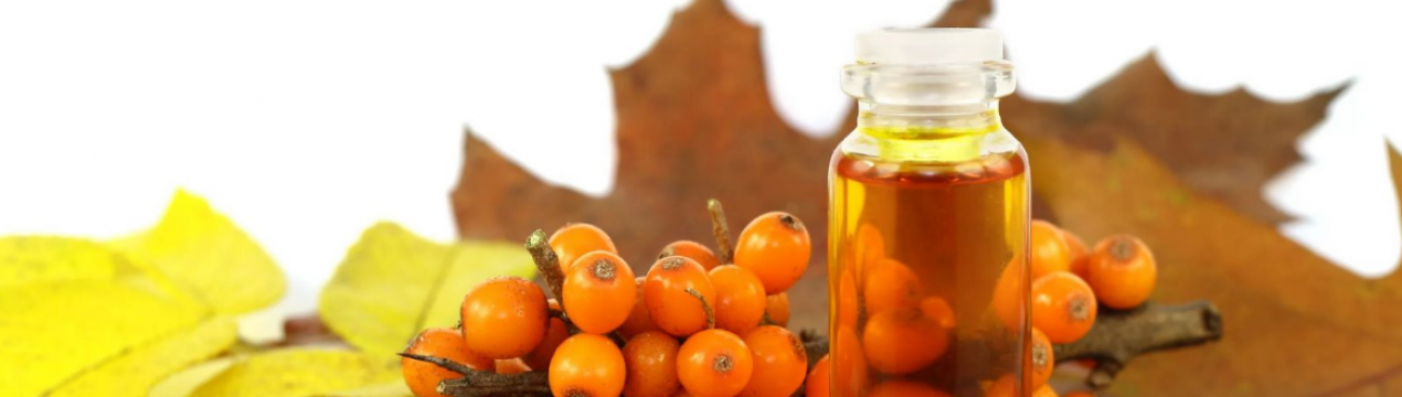 Облепиховое масло при лечении ожогов