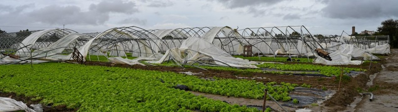 Торнадо и сильные ливни повредили урожай в Испании и на юге Франции