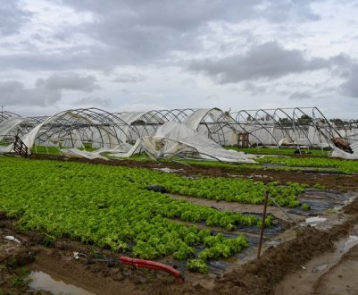 Торнадо и сильные ливни повредили урожай в Испании и на юге Франции