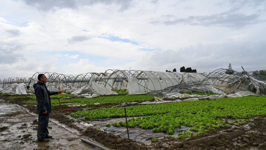 Торнадо и сильные ливни повредили урожай в Испании и на юге Франции Торнадо и сильные ливни повредили урожай в Испании и на юге Франции